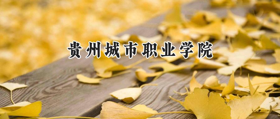 贵州城市职业学院