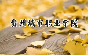 貴州城市職業(yè)學(xué)院2024在河南錄取分?jǐn)?shù)線是多少？最低165分/最高245分