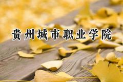 贵州城市职业学院2024在河南录取分数线是多少？最低165分/最高245分