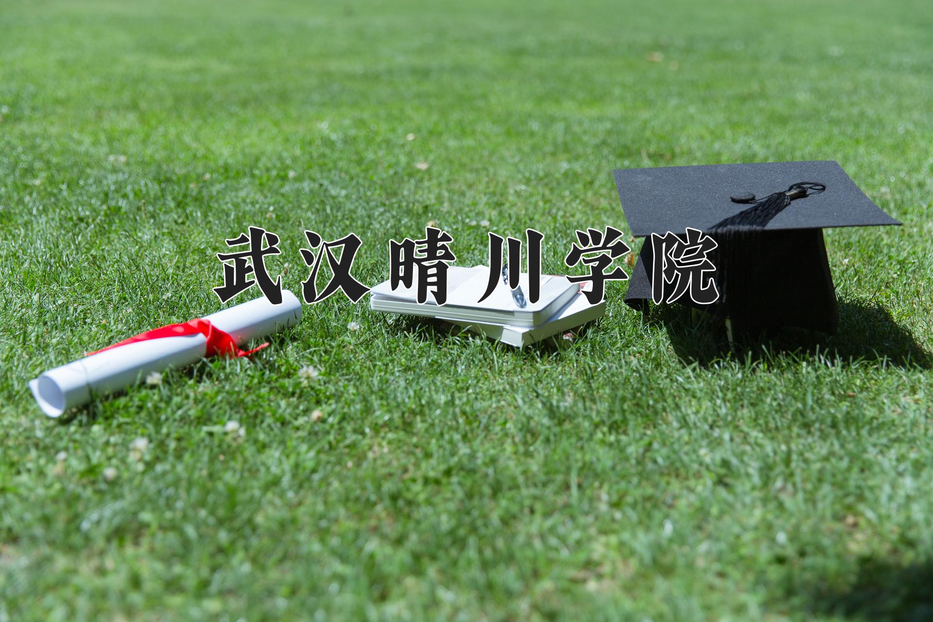 武汉晴川学院