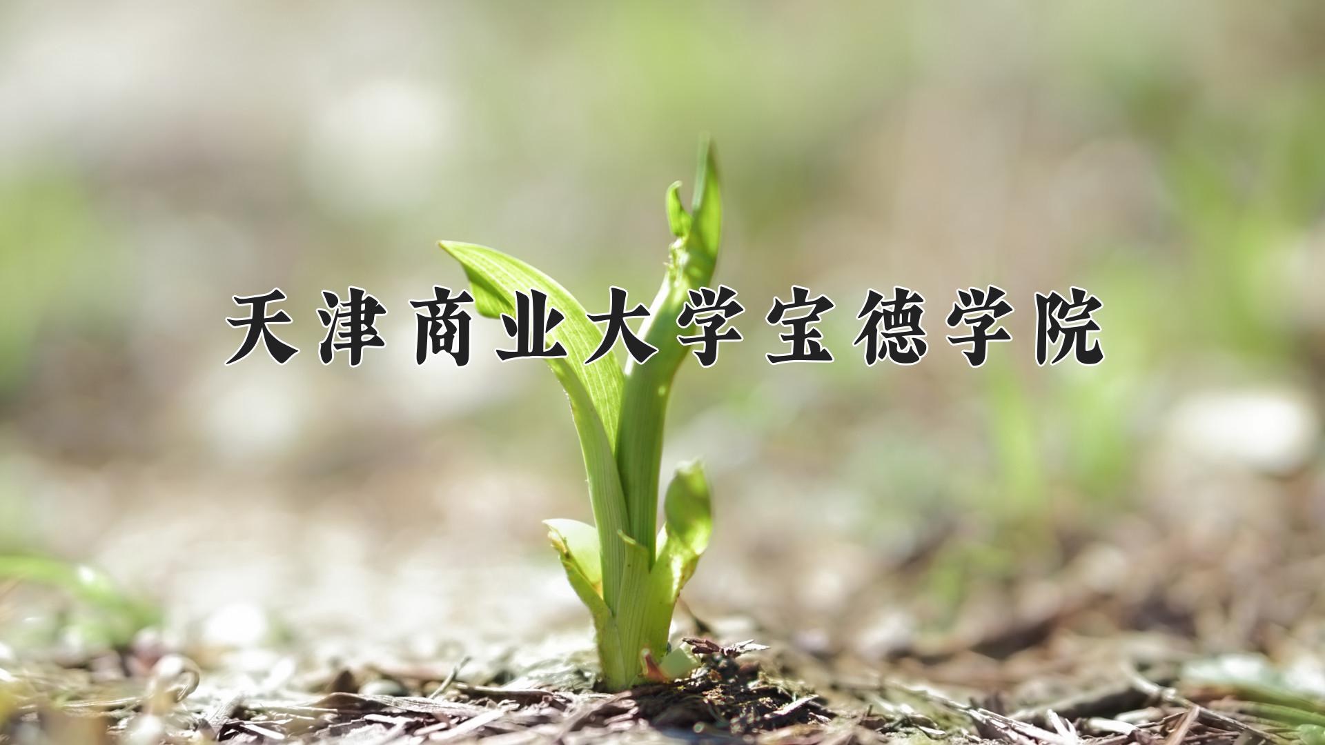 天津商业大学宝德学院