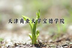 天津商业大学宝德学院2024在陕西录取分数线是多少？最低425分/最高457分