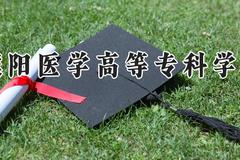 濮阳医学高等专科学校2024在河南录取分数线是多少？最低199分/最高381分
