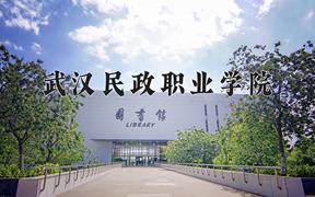 武汉民政职业学院2024在陕西录取分数线是多少？最低369分/最高431分