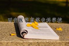 西安医学高等专科学校2024在陕西录取分数线是多少？最低360分/最高392分