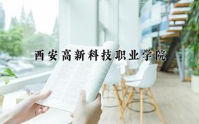 西安高新科技职业学院2024在陕西录取分数线是多少？最低285分/最高338分