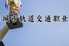 德阳城市轨道交通职业学院2024在河南录取分数线是多少？最低165分/最高266分
