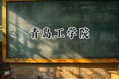 青岛工学院2024在河南录取分数线是多少？最低416分/最高452分