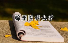 锦州医科大学2024在河南录取分数线是多少？最低457分/最高505分