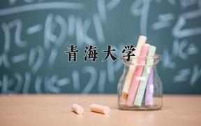 青海大学2024在陕西录取分数线是多少？最低506分/最高589分