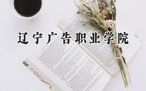辽宁广告职业学院2024在河南录取分数线是多少？最低191分/最高228分