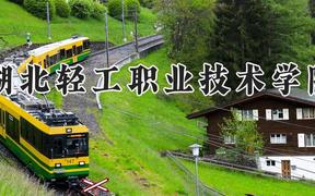 湖北轻工职业技术学院2024在河南录取分数线是多少？最低316分/最高380分