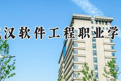 武汉软件工程职业学院2024在河南录取分数线是多少？最低393分/最高431分