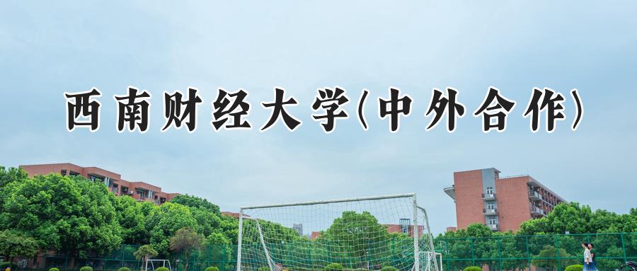 西南财经大学(中外合作)