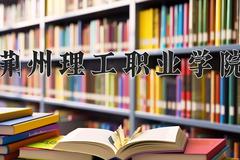 荆州理工职业学院2024在陕西录取分数线是多少？最低313分/最高378分