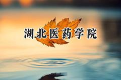湖北医药学院2024在河南录取分数线是多少？最低431分/最高549分