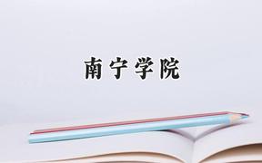 南宁学院2024在河南录取分数线是多少？最低411分/最高454分