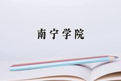 南宁学院2024在河南录取分数线是多少？最低411分/最高454分