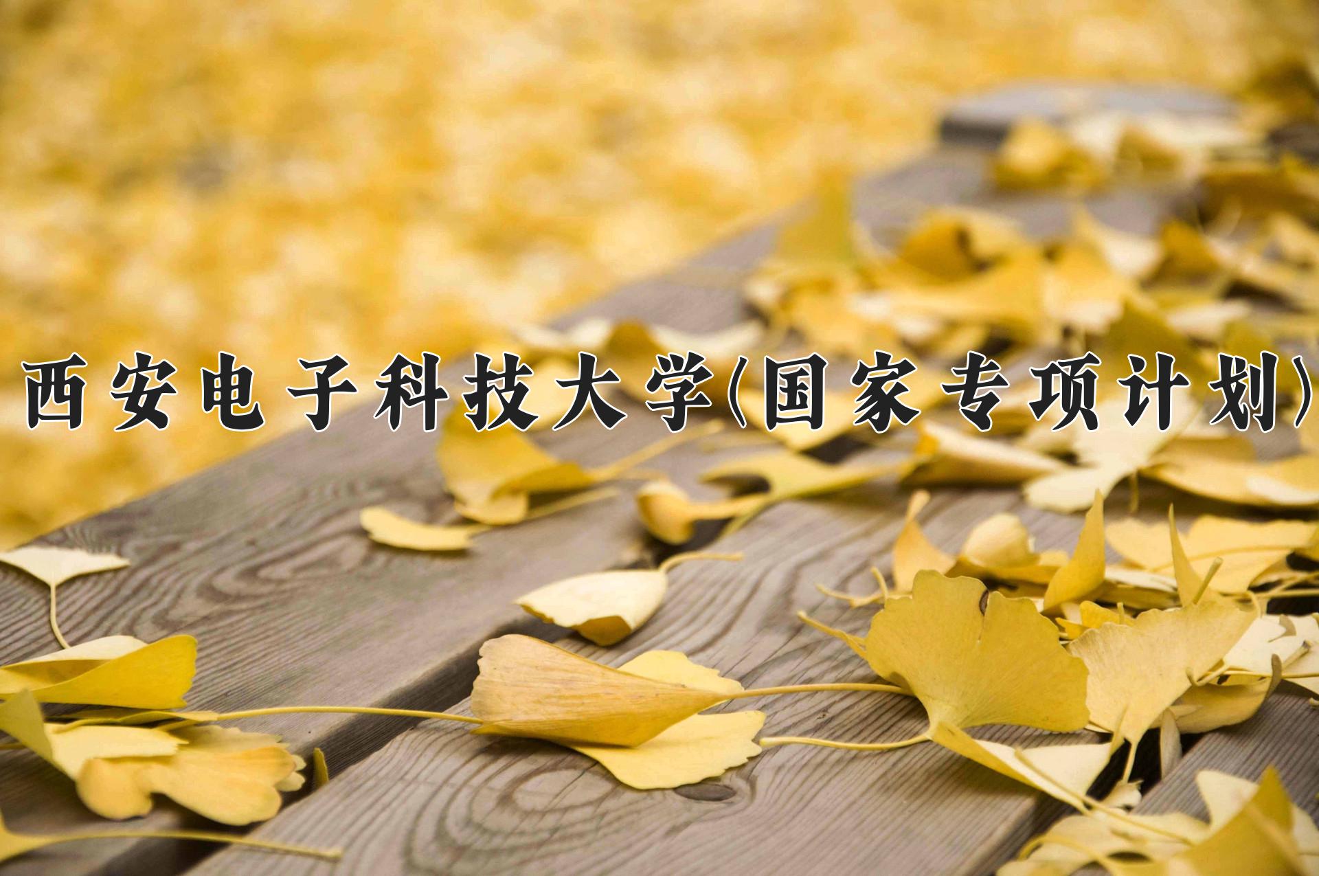 西安电子科技大学(国家专项计划)