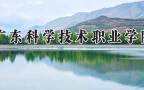 广东科学技术职业学院2024在河南录取分数线是多少？最低288分/最高420分