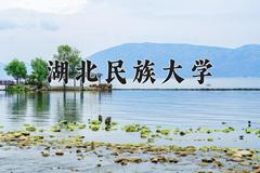 湖北民族大学2024在陕西录取分数线是多少？最低460分/最高486分
