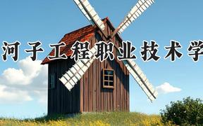 石河子工程职业技术学院2024在河南录取分数线是多少？最低268分/最高303分