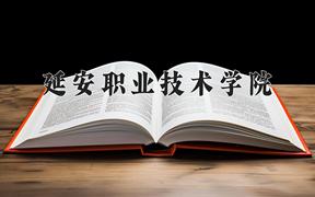 延安职业技术学院2024在陕西录取分数线是多少？最低355分/最高394分
