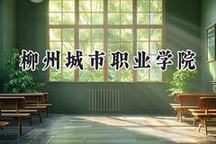 柳州城市职业学院2024在河南录取分数线是多少？最低173分/最高272分
