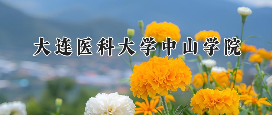 大连医科大学中山学院