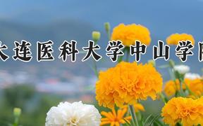 大连医科大学中山学院2024在河南录取分数线是多少？最低402分/最高512分