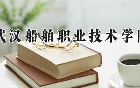 武汉船舶职业技术学院2024在河南录取分数线是多少？最低380分/最高419分