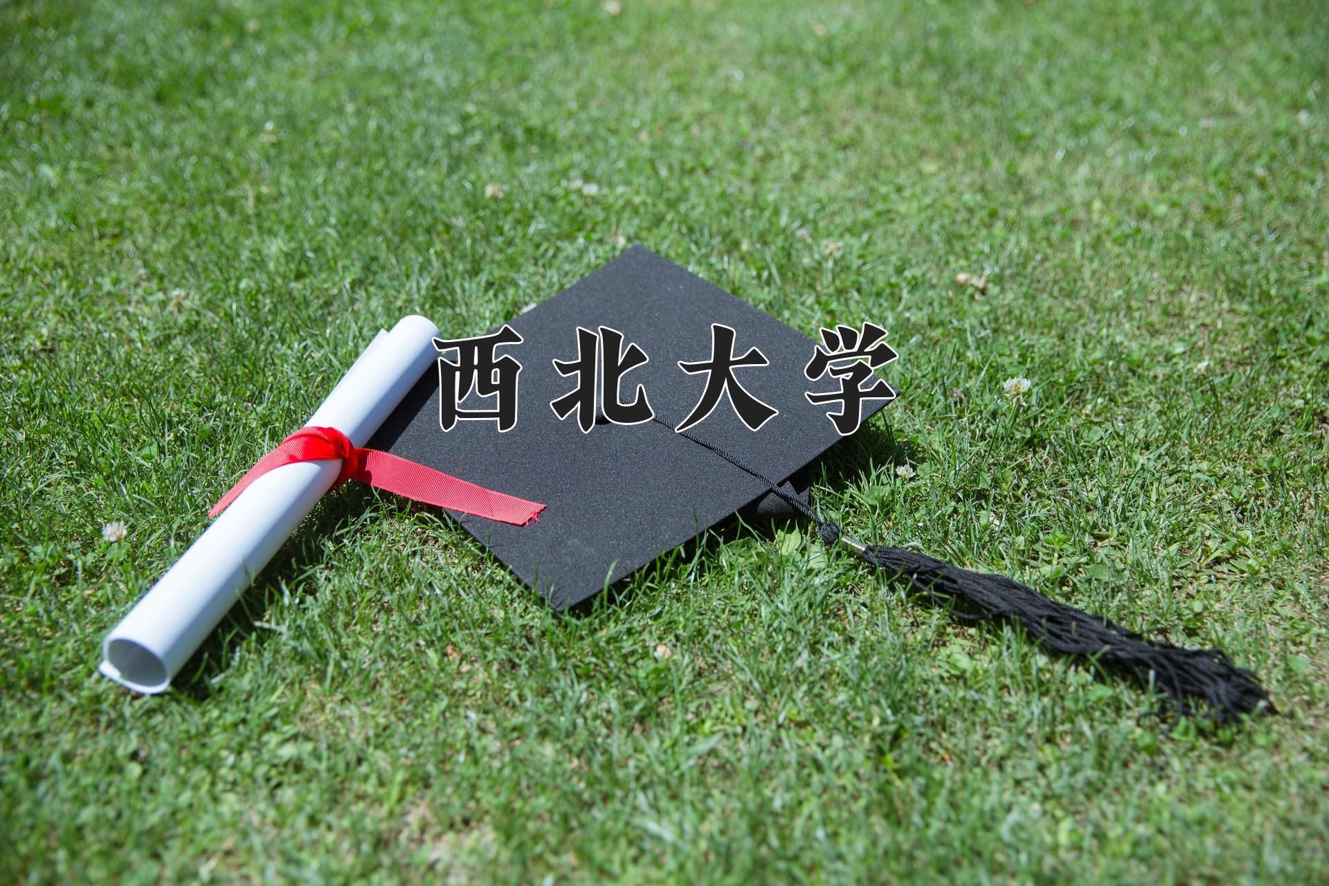 西北大学