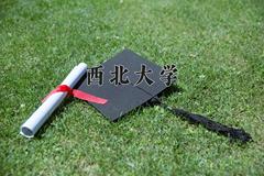 西北大学2024在陕西录取分数线是多少？最低553分/最高598分