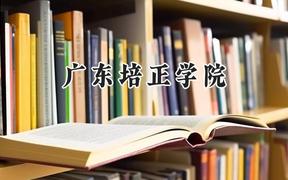 广东培正学院2024在河南录取分数线是多少？最低406分/最高435分