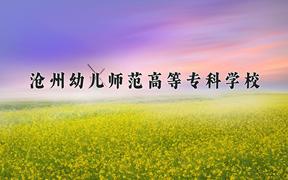 沧州幼儿师范高等专科学校2024在陕西录取分数线是多少？最低231分/最高315分