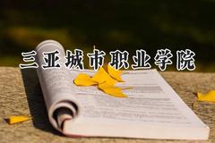 三亚城市职业学院2024在河南录取分数线是多少？最低175分/最高261分