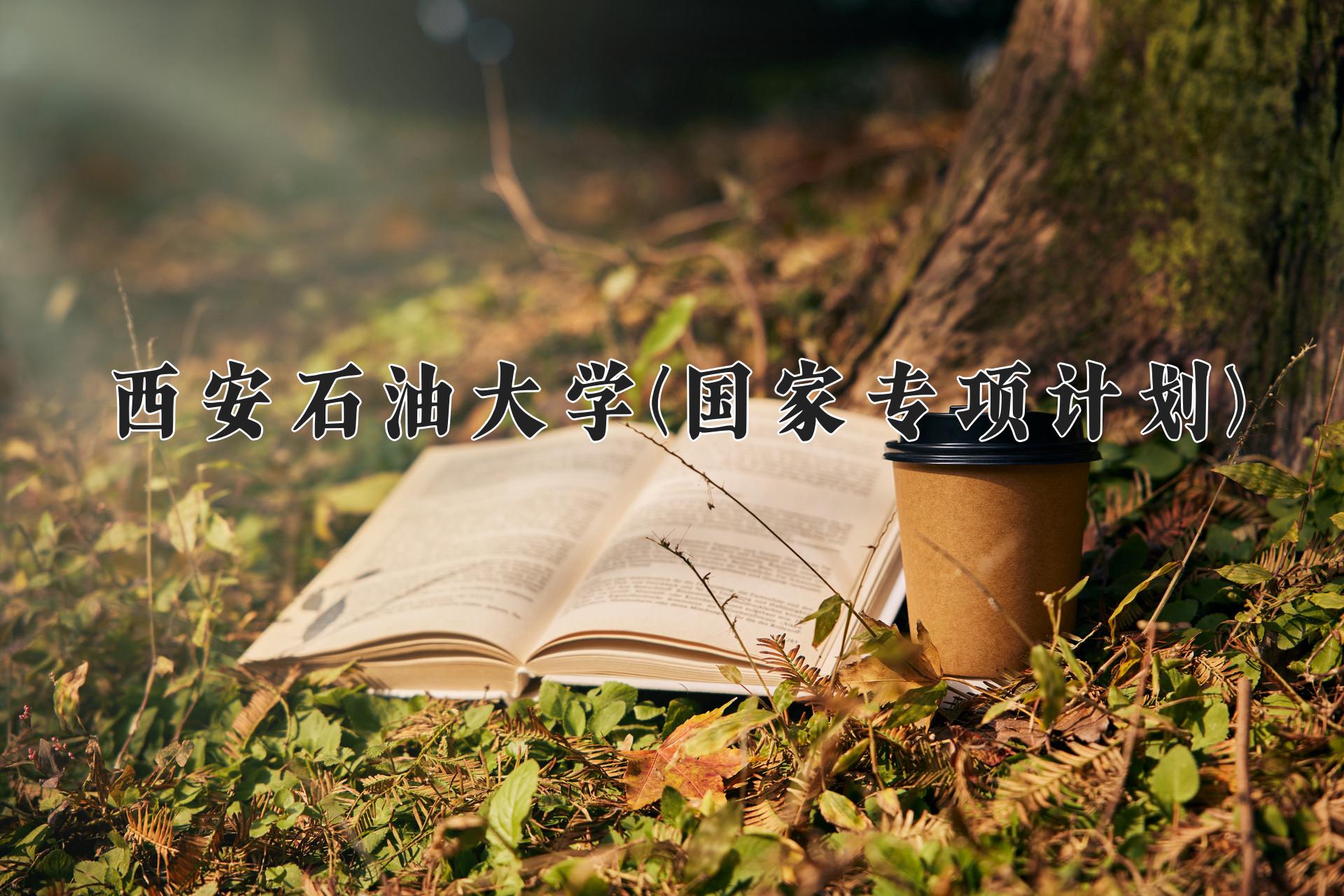 西安石油大学(国家专项计划)