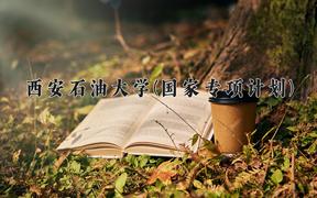 西安石油大學(xué)(國家專項計劃)2024在陜西錄取分數(shù)線是多少？最低472分/最高519分