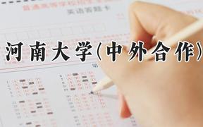 河南大学(中外合作)2024在河南录取分数线是多少？最低524分/最高559分