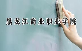 黑龙江商业职业学院2024在河南录取分数线是多少？最低167分/最高291分