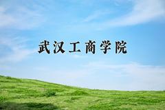 武汉工商学院2024在陕西录取分数线是多少？最低386分/最高446分