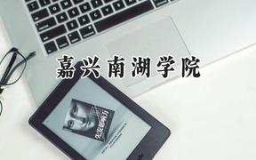 嘉兴南湖学院2024在河南录取分数线是多少？最低506分/最高528分