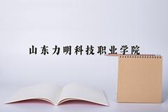 山东力明科技职业学院2024在陕西录取分数线是多少？最低260分/最高362分