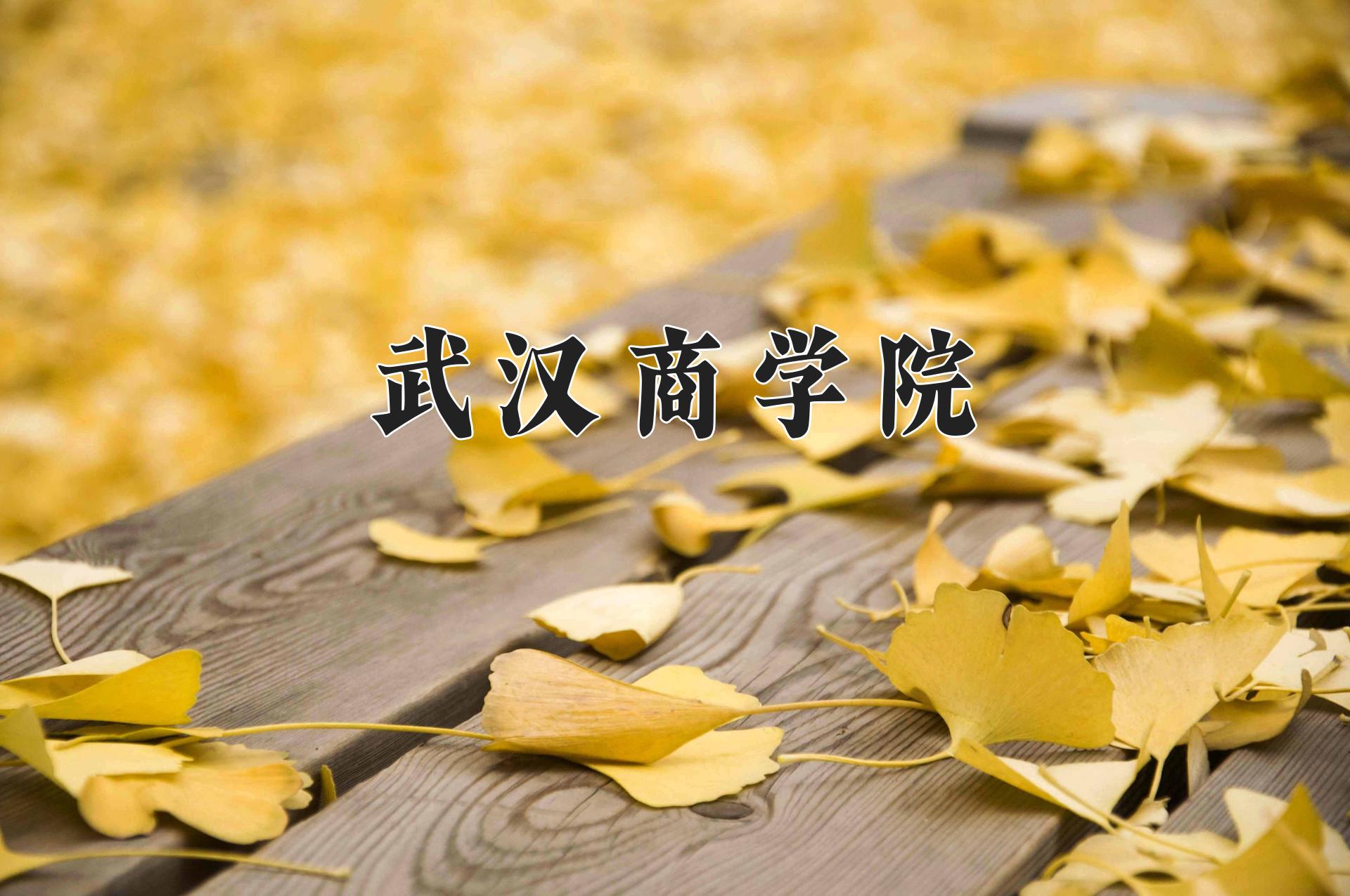 武汉商学院