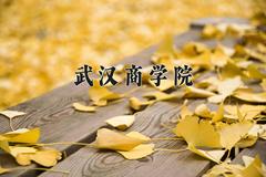武汉商学院2024在陕西录取分数线是多少？最低325分/最高482分