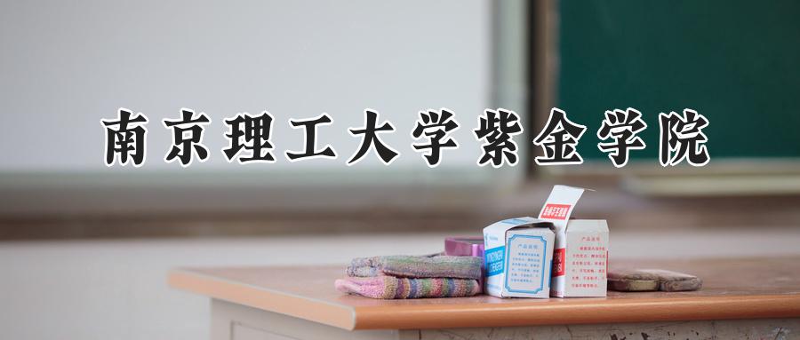 南京理工大学紫金学院