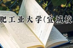 合肥工业大学(宣城校区)2024在河南录取分数线是多少？最低551分/最高617分