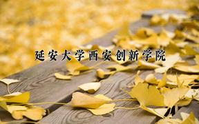 延安大学西安创新学院2024在陕西录取分数线是多少？最低405分/最高441分
