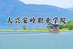 大兴安岭职业学院2024在河南录取分数线是多少？最低197分/最高370分