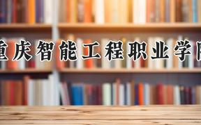 重庆智能工程职业学院2024在河南录取分数线是多少？最低166分/最高260分